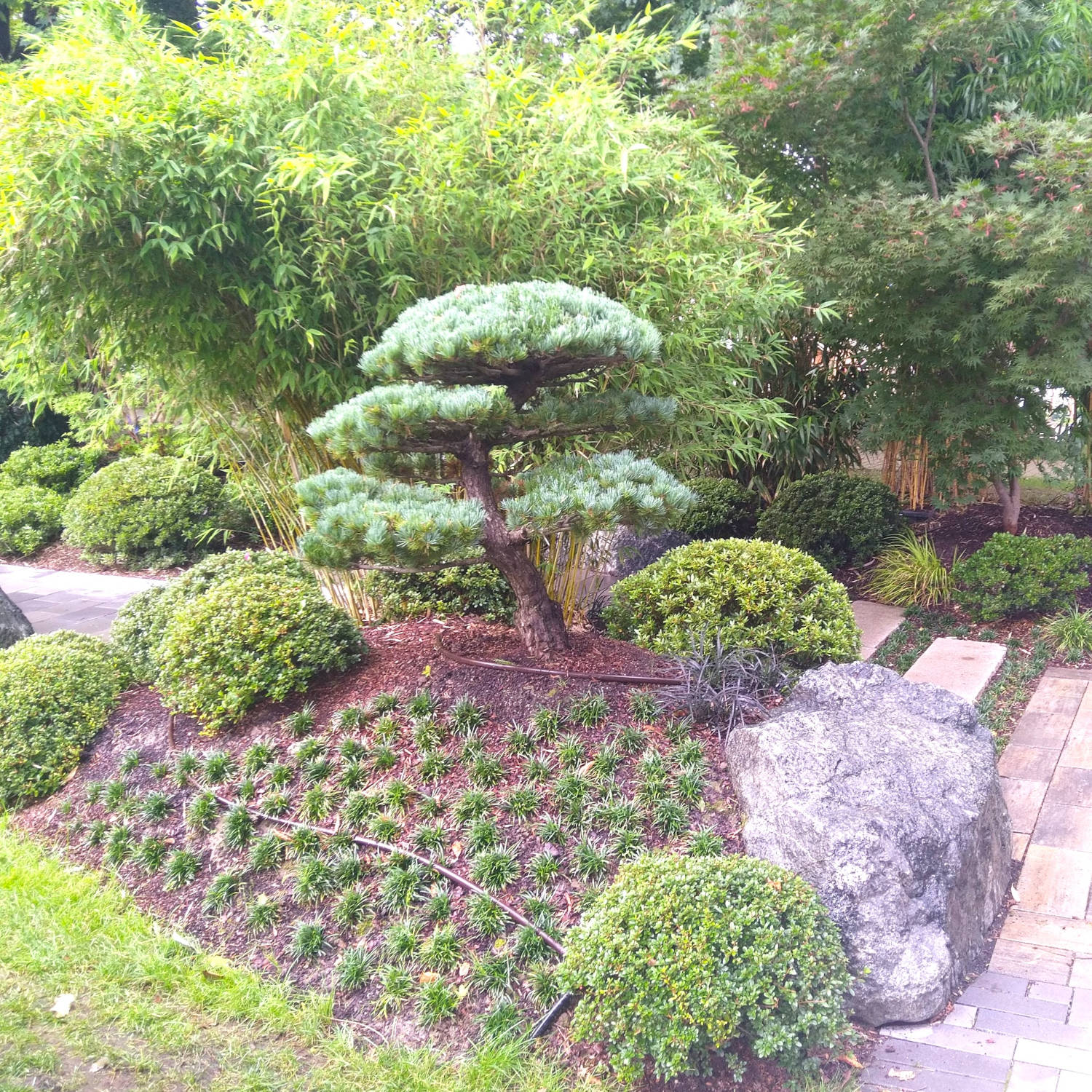 q1500-LeistungenNiwaki4