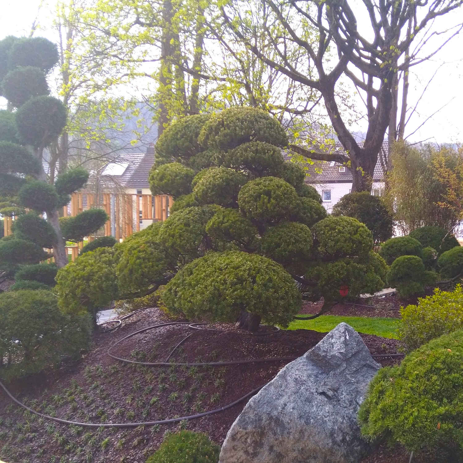 q1500-LeistungenNiwaki5